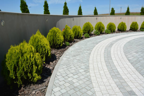 Trusted Caraway, AR Driveway Pavers Experts